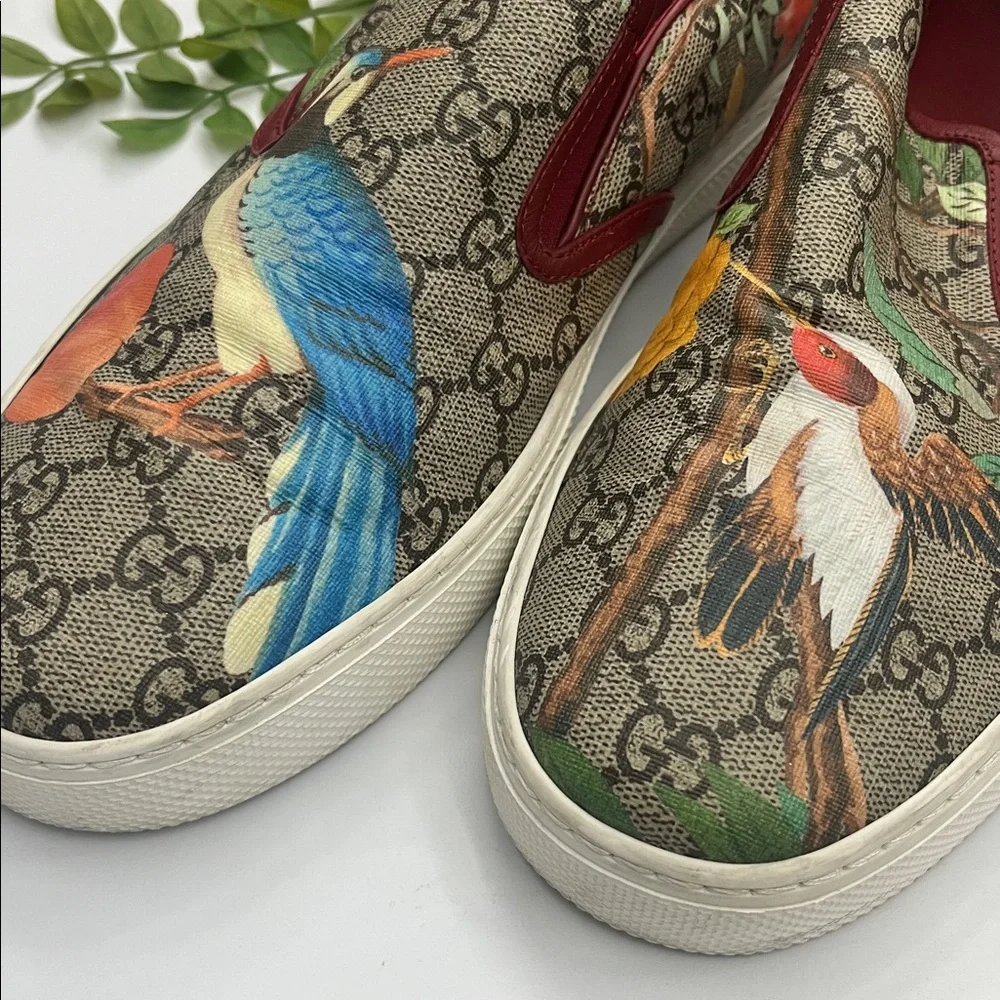 Gucci great used